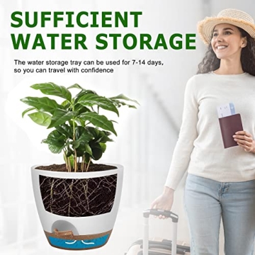 QRRICA Self Watering Plant Pots Set for Easy Gardening