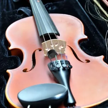 6pcs Rubber Violin Practice Mute Set, Violin Mute Cello Practice Mute Includes Claw Style & Round Tourte Style Mute Accessories for Violin Viola Cello Practice Silencer