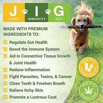 MariGold JIG for Dogs - Joint, Immunity, Gut Support & Collagen for Dogs - Non-GMO, Organic Peanuts,...