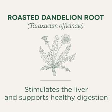 Traditional Medicinals Organic Roasted Dandelion Root Herbal Tea, Supports Healthy Digestion, (Pack of 1) - 16 Tea Bags