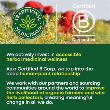 Traditional Medicinals Organic Roasted Dandelion Root Herbal Tea, Supports Healthy Digestion, (Pack of 1) - 16 Tea Bags