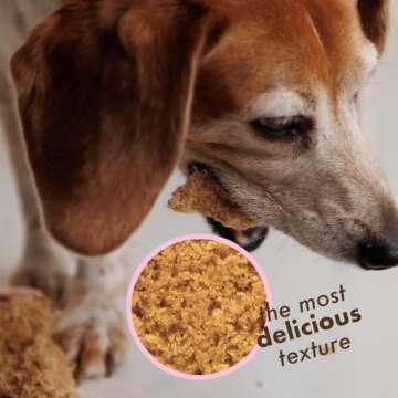 Puppy Cake Dog Birthday Cake Kit – Complete Cake Mix, Icing Mix, Candle, and Silicone Pan - Peanut Butter Flavor – Bake or Microwave – Perfect for Celebrating Your Dog’s Special Day – Made in USA