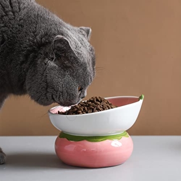 Cute Slanted Cat Bowl for Better Digestion - Yeexoxow