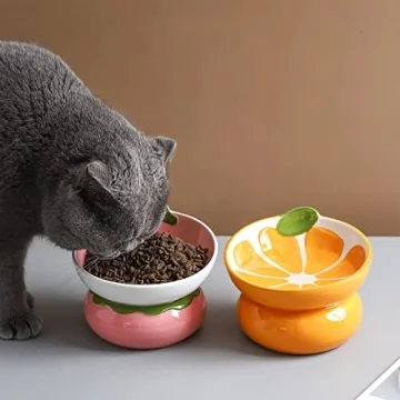 Cute Slanted Cat Bowl for Better Digestion - Yeexoxow