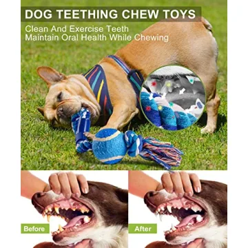 Heibizi Durable Dog Toys Pack for Large Breeds