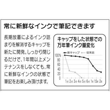 Platinum Fountain Pen, Plaisir Fine Nib, Black (PGB-1000-#1-F)