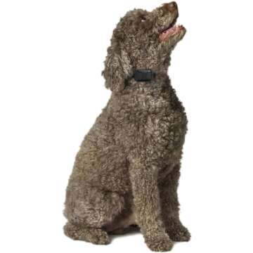 Educator CPAD-004 Dog Training Collar Receiver Comfort Pad, Improves Contact, Reduces Irritation and Skin Sensitivities, Comfort, Long Hair