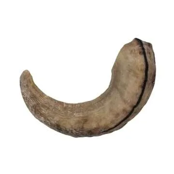 Icelandic+ Large Lamb Horn Dog Chew