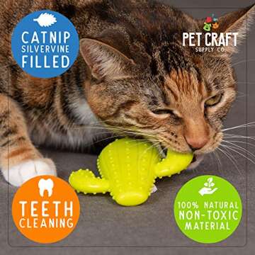 Pet Craft Supply Cactus Interactive Cat Toy Chew Toy Teeth Cleaning Bite Resistant 100% Natural Rubb...