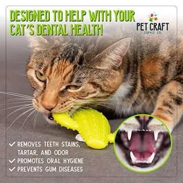 Pet Craft Supply Cactus Interactive Cat Toy Chew Toy Teeth Cleaning Bite Resistant 100% Natural Rubber with Bonus Catnip and Silvervine Bags for Kittens and Adult Cat