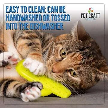 Pet Craft Supply Cactus Interactive Cat Toy Chew Toy Teeth Cleaning Bite Resistant 100% Natural Rubber with Bonus Catnip and Silvervine Bags for Kittens and Adult Cat