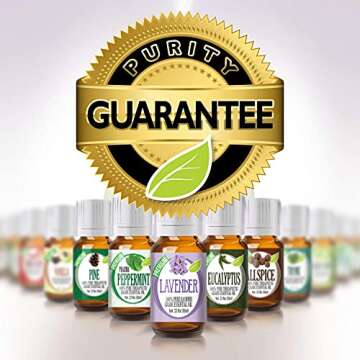 Healing Solutions Essential Oils Set for Diffusers