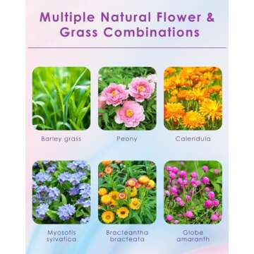 Bissap Natural Flower & Herb Hamster Bedding 300g/10.5oz, Small Animal Flower Habitat Decor for Syri...