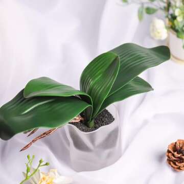 Miracliy Phalaenopsis Orchid Leaves for Stunning Decor