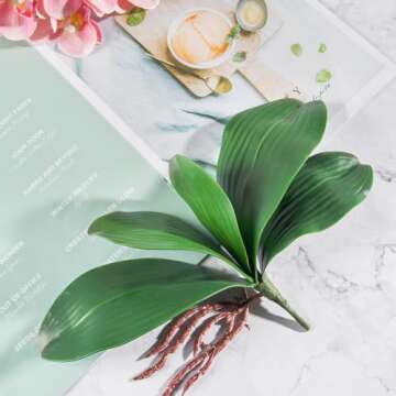 Miracliy Phalaenopsis Orchid Leaves for Stunning Decor