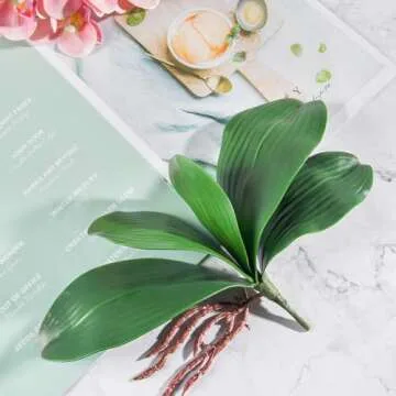 Miracliy Phalaenopsis Orchid Leaves for Stunning Decor
