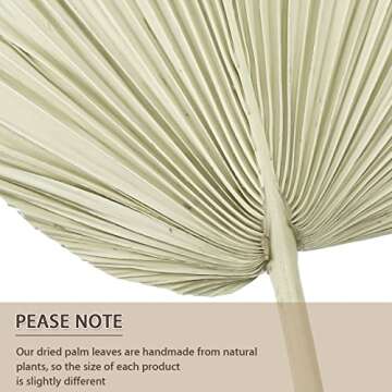 Natural Dried Palm Leaves Boho Palm Leaves Decor Heart Shape Palm Fans Tropical Palm Leaves Decoration Dried Palm Leaves Decor for Holidays Weddings House Party Kitchen Bedroom (6, White, Wood)