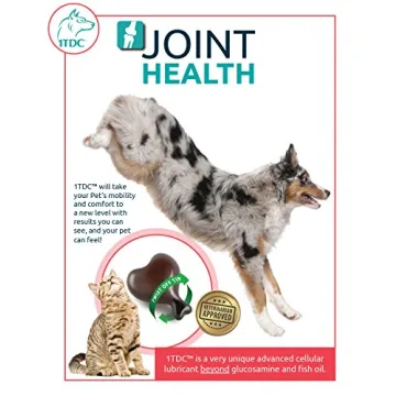 Top Pet Supplement for Dental, Joint and Skin Health
