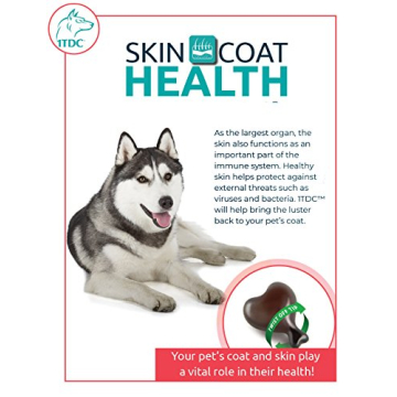 Top Pet Supplement for Dental, Joint and Skin Health