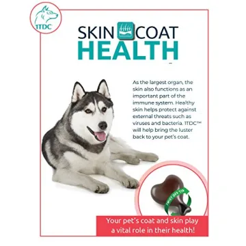 Top Pet Supplement for Dental, Joint and Skin Health