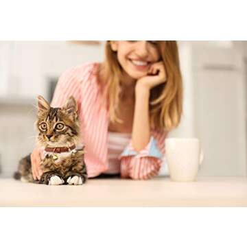 3 Pack Leather Cat Collars with Bells Soft Pet Safety Collar Kitten Collars with Bell Black Chocolate Beige(XS)