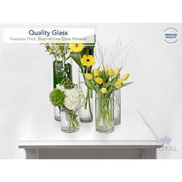 Royal Imports Flower Glass Vase Decorative Centerpiece for Home or Wedding - Cylinder Shape, 4" Tall...