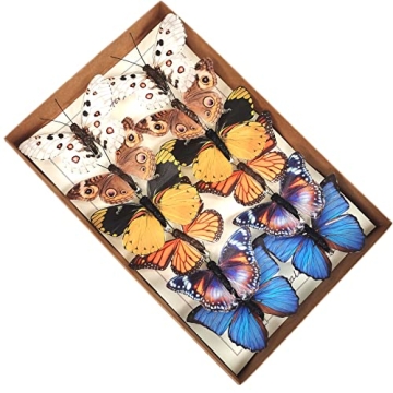 YCHTEWY-Feather Fake Butterfly Set of 12 for Craft & Decor
