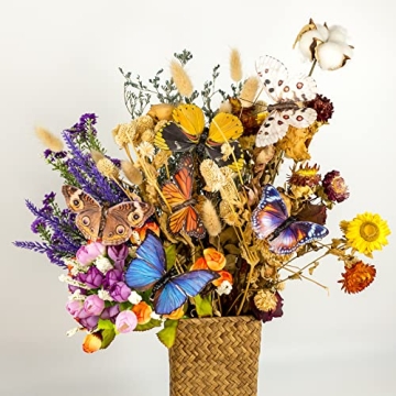 Handmade Feather Butterflies Set for Craft & Home Decor