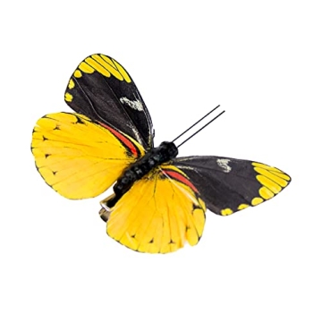 Handmade Feather Butterflies Set for Craft & Home Decor