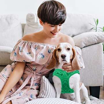 Cold Weather Dog Harness - Comfortable & Adjustable Harnesss for Dogs - Easy Walk Dog Harness (Green, Chest Size 13" - 17”)