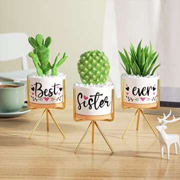 Christmas Sisters Gifts from Sister, Best Gifts for Sister from Brother, Best Sister Ever Ceramic Succulent Pots for Plants Indoor, Gift Boxed Thanksgiving Birthday Gifts for Sister in Law Soul Sister