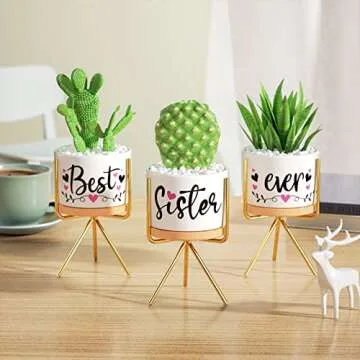 Christmas Sisters Gifts from Sister, Best Gifts for Sister from Brother, Best Sister Ever Ceramic Succulent Pots for Plants Indoor, Gift Boxed Thanksgiving Birthday Gifts for Sister in Law Soul Sister