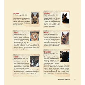 Dog Heroes of September 11th: A Tribute to Search Dogs