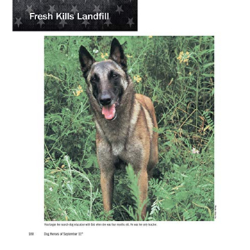 Dog Heroes of September 11th: A Tribute to Search Dogs