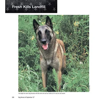 Dog Heroes of September 11th: A Tribute to Search Dogs