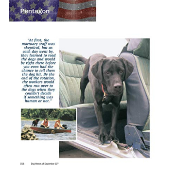 Dog Heroes of September 11th: A Tribute to Search Dogs