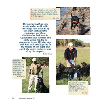 Dog Heroes of September 11th: A Tribute to Search Dogs