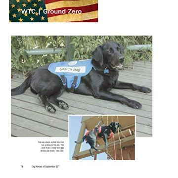 Dog Heroes of September 11th: A Tribute to Search Dogs