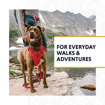 Ruffwear, Front Range Dog Collar, Durable and Comfortable Collar for Everyday Use, Campfire Orange, 14"-20"