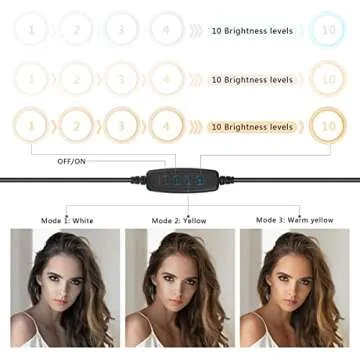 Customizable Workbench Light for Streaming and Crafting