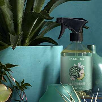 Caldrea Multi-surface CounterTop Spray Cleaner, Made With Vegetable Protein Extract, Pear Blossom Agave Scent, 16 Oz