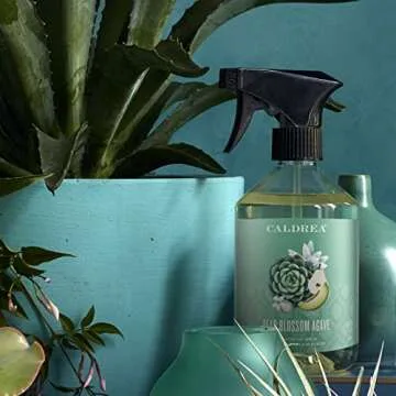 Caldrea Eco-friendly Multi-surface Cleaner, Pear Blossom Agave