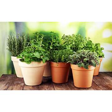 Potting Mat with Tools Set for Easy Gardening