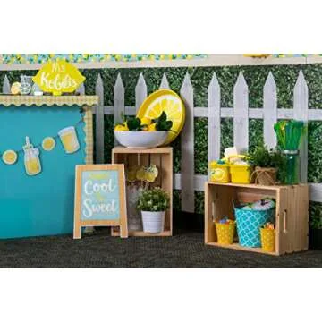 Teacher Created Resources Fun Size Better Than Paper Bulletin Board Roll, 18" x 12', Boxwood