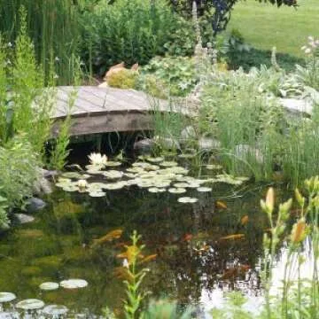 CrystalClear Thrive Aquatic Plant Food for Water Gardens