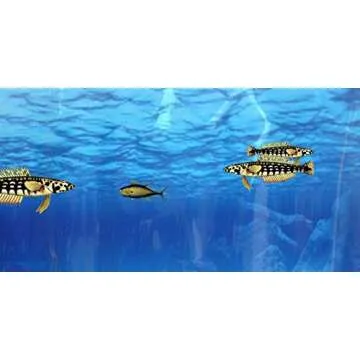 Coding for Kids: Learn to Code Javascript - Video Game Design Coding Software - Computer Programming for Kids, Ages 11-18, (PC, Mac, Chromebook Compatible)