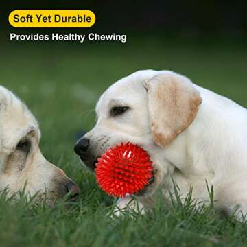 VITEVER 3.5” Squeaky Dog Toy Balls (6 Colors) Puppy Chew Toys for Teething, BPA Free Non-Toxic, Spikey Medium, Large & Small Dogs, Durable Aggressive Chewers
