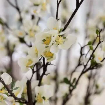 Artificial Flowers | Cream Artificial Blossom Branch - 57"