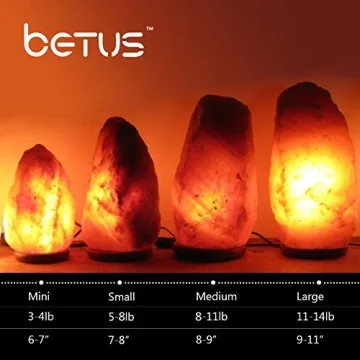 Betus Himalayan Salt Lamp with Dimmable Cord and Bulb