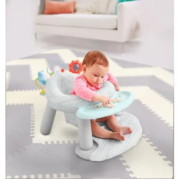 Skip Hop 2-in-1 Sit-up Baby Chair for Infants